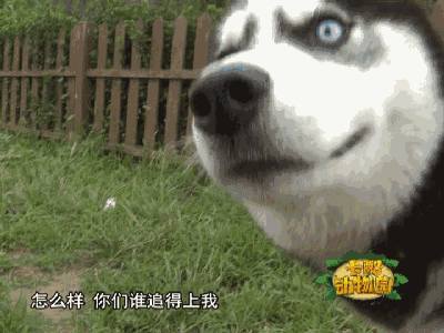 0 (1).gif