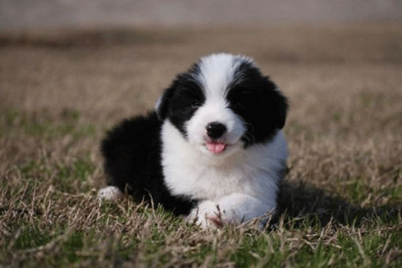 1498116883394243.gif kguyftui.gif