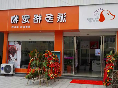 1549880849737362.jpg 003-卞建萍.jpg